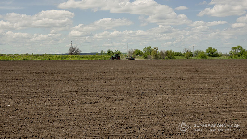 Підготовлене до сівби поле